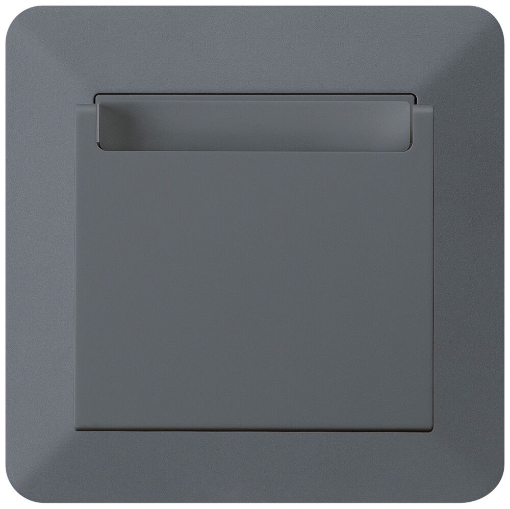 Interrupteur Hotelcard ENC kallysto.trend 1L anthracite
