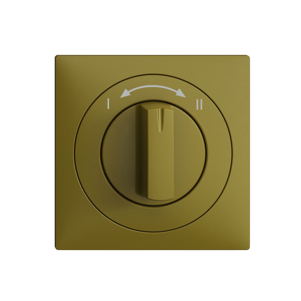 Kit frontal EDIZIOdue I<->II olive 60×60mm pour contact pivotant.