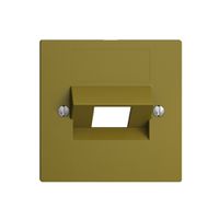 Frontplatte 1×RJ45 ITplus EDIZIOdue olive