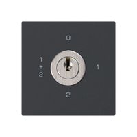 Einsatz zu Schlüsselschalter kallysto 1/1L schwarz mit Schloss Kaba 8