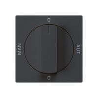 Einsatz zu Drehschalter 0-Hand-0-Aut. kallysto 2/1L schwarz