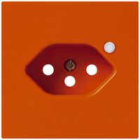 Frontplatte zu Steckdose Hager kallysto 1×T13 beleuchtet H orange