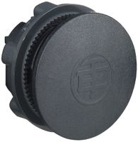 Verschlusszapfen Schneider Electric DIA 22