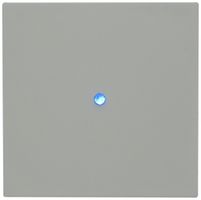 Tastsensor digitalSTROM IC TDT-1L, mit Lastausgang 230V/100W weiss