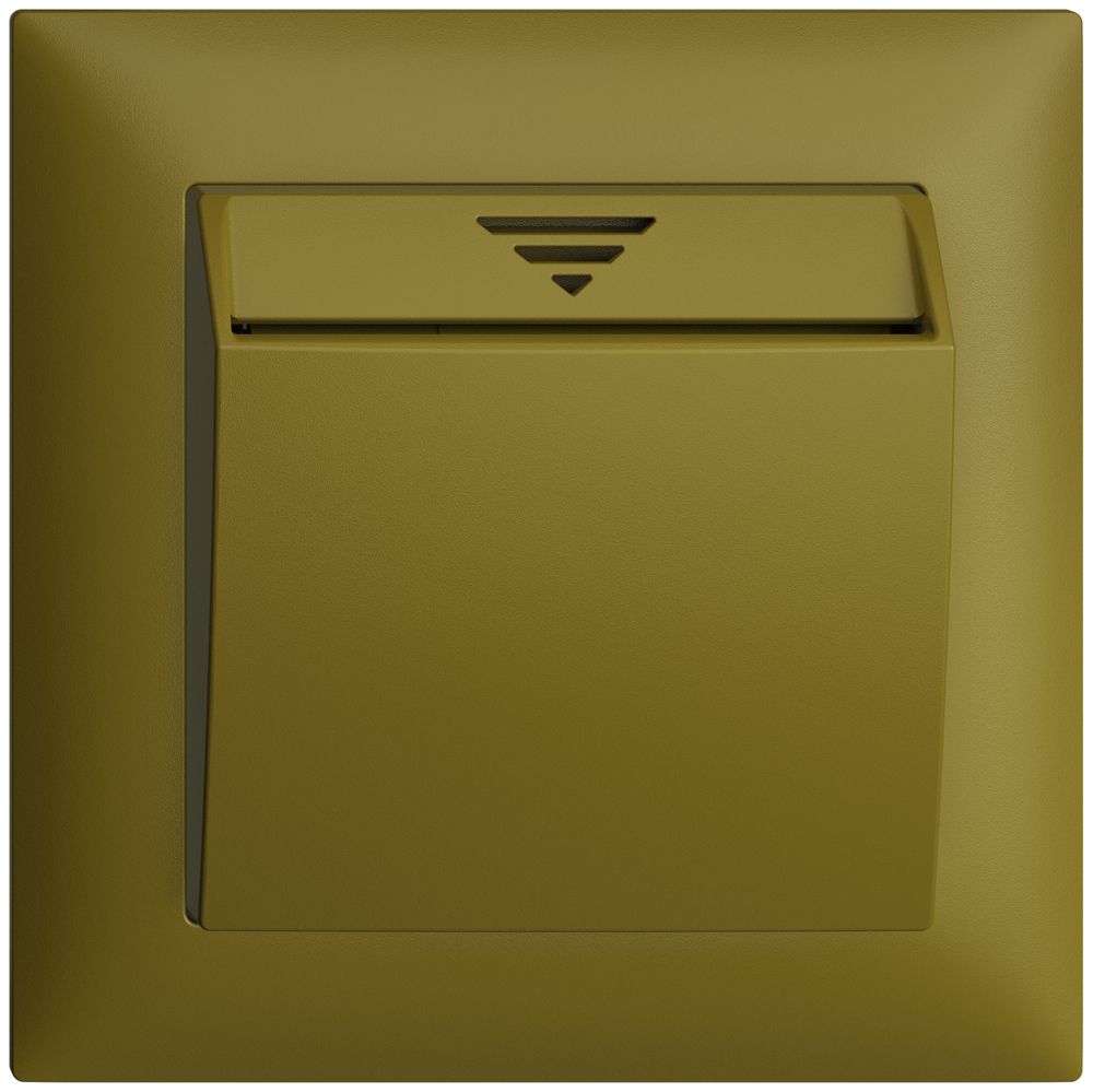 UP-Schalter Hotelcard 250VAC 1L EDIZIOdue olive