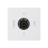 Einsatz zu Schlüsselschalter 0-Hand-0-Aut. kallysto 2/1L weiss für Schloss