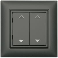 AP-RF-Taster ALADIN EnOcean EDIZIOdue, 2-fach, dunkelgrau, V/Λ