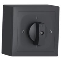AP-Drehschalter SIDUS A 0/2L anthrazit
