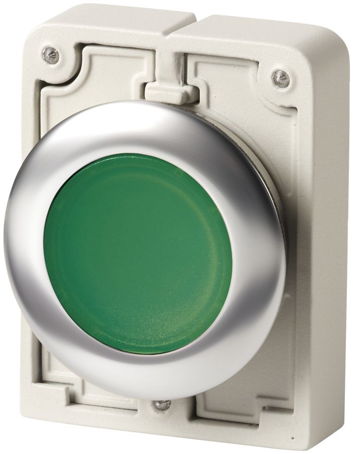 Poussoir lumineux ETN, face plate, à rappel, vert, sans marquage