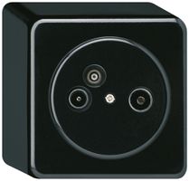 Presa d'antenna AP TV-R-Dati basico 2GHz 19db nero