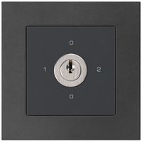 Interruttore rotativo INC kallysto.pro 2/1L nero con serratura Kaba 8
