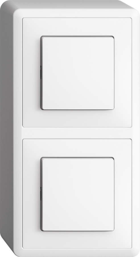 Combinazione AP Edue 2×1 FX54, Interruttore 3/1 + Interruttore 3/1 bi