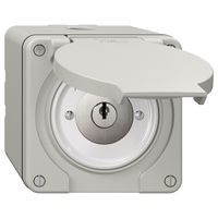 NAP-Schwenktaster NEVO, mit Schloss&2 Schlüsseln, KS, 1->0<-2, lichtgrau