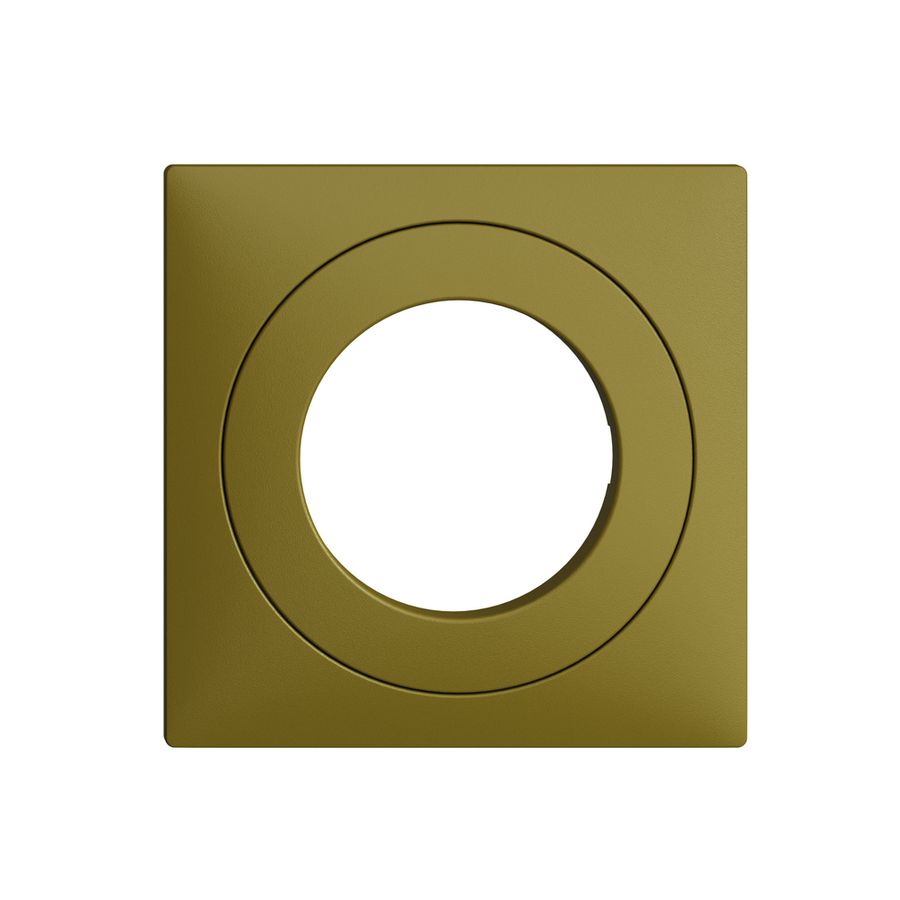 Frontset EDIZIOdue olive 60×60mm für Schlüsselschalter