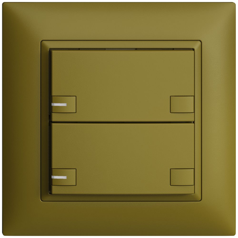 Poussoir ENC KNX 2× EDIZIOdue colore olive RGB avec LED
