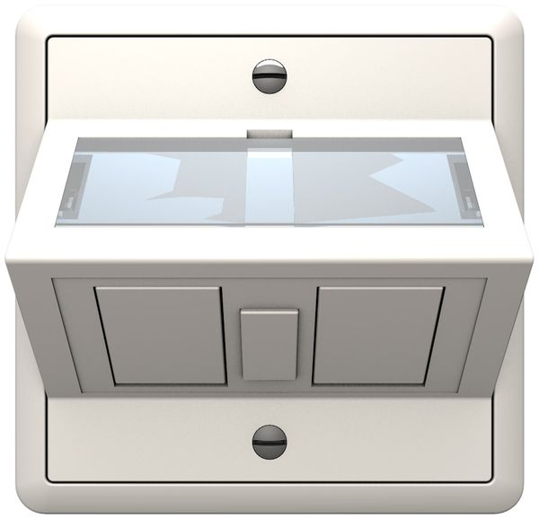 AP-Dose 30° Cecoflex EDIZIOdue für 2×RJ45 Keystone / 1×CLIK LC