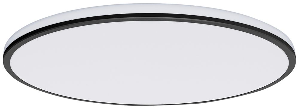 LED-Deckenleuchte Philips Ozziet 22W 2500lm 4000K DIM schwarz