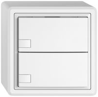 AP-Universaltaster EDIZIO.liv UNI SNAPFIX® o.LED 2× 1-Tbed.ws