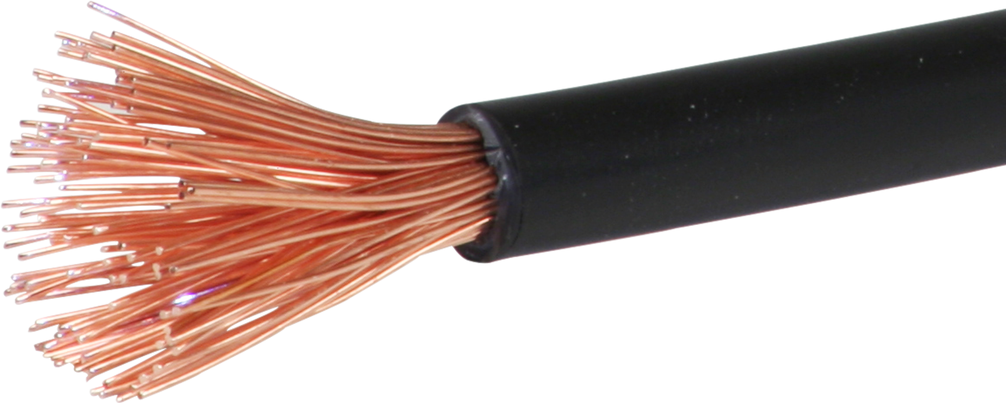 T-Litze 16mm² schwarz Eca