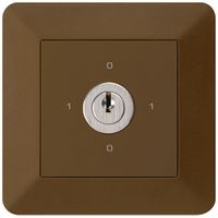 UP-Drehschalter kallysto.trend 0/2L braun mit Schloss Kaba 8