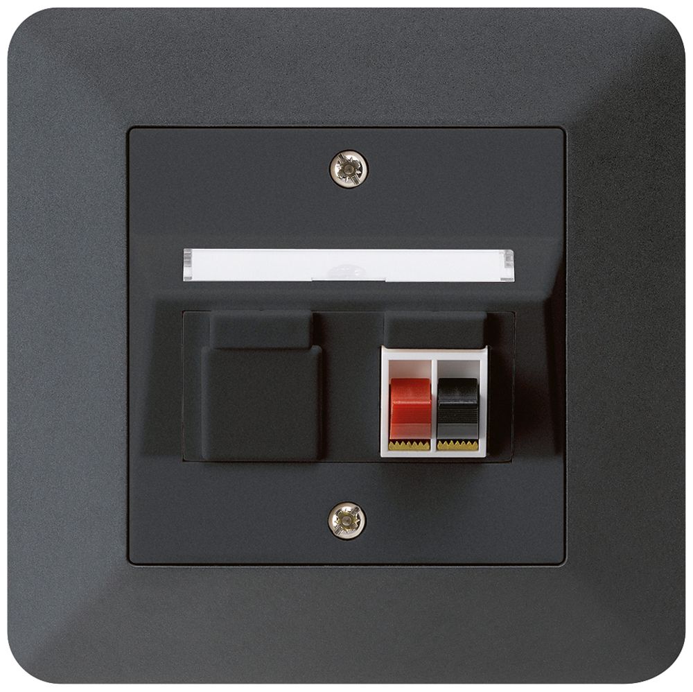 Prise ENC audio kallysto.trend 1×noir borne à étrier pour 1 haut-parleur