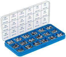 Sicherungssortiment flink/träg, SP grosses Ausschaltvermögen (H),FST kleines (L)