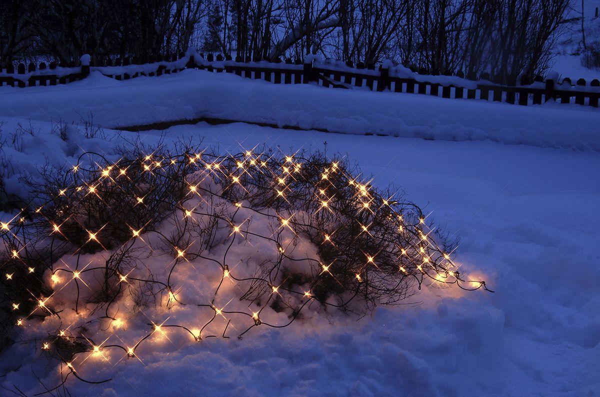 Lichtnetz System LED Extra, 2×1m, schwarz, 8W, 100 LED, warmweiss