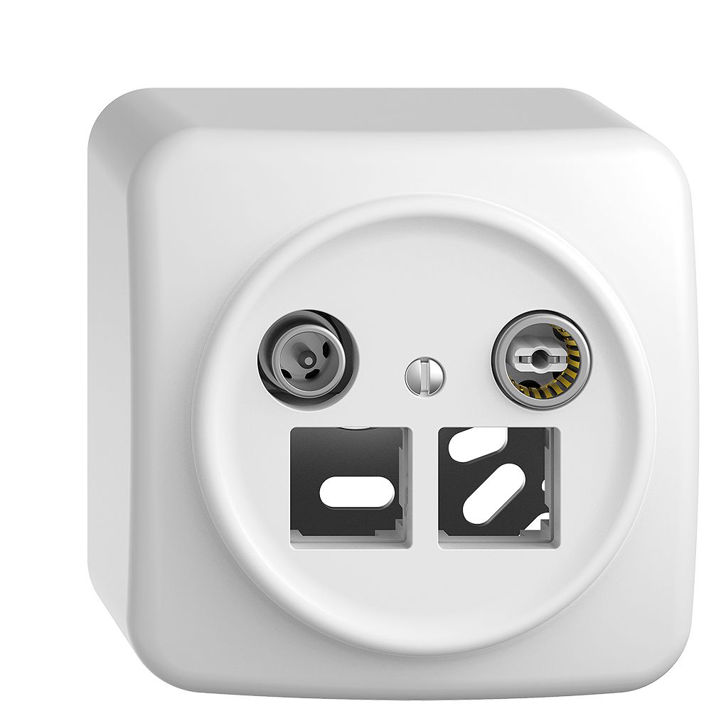 AP-Multimediadose Sdue QX.54 EASYNET 11dB, f.2×RJ45 S-One, weiss