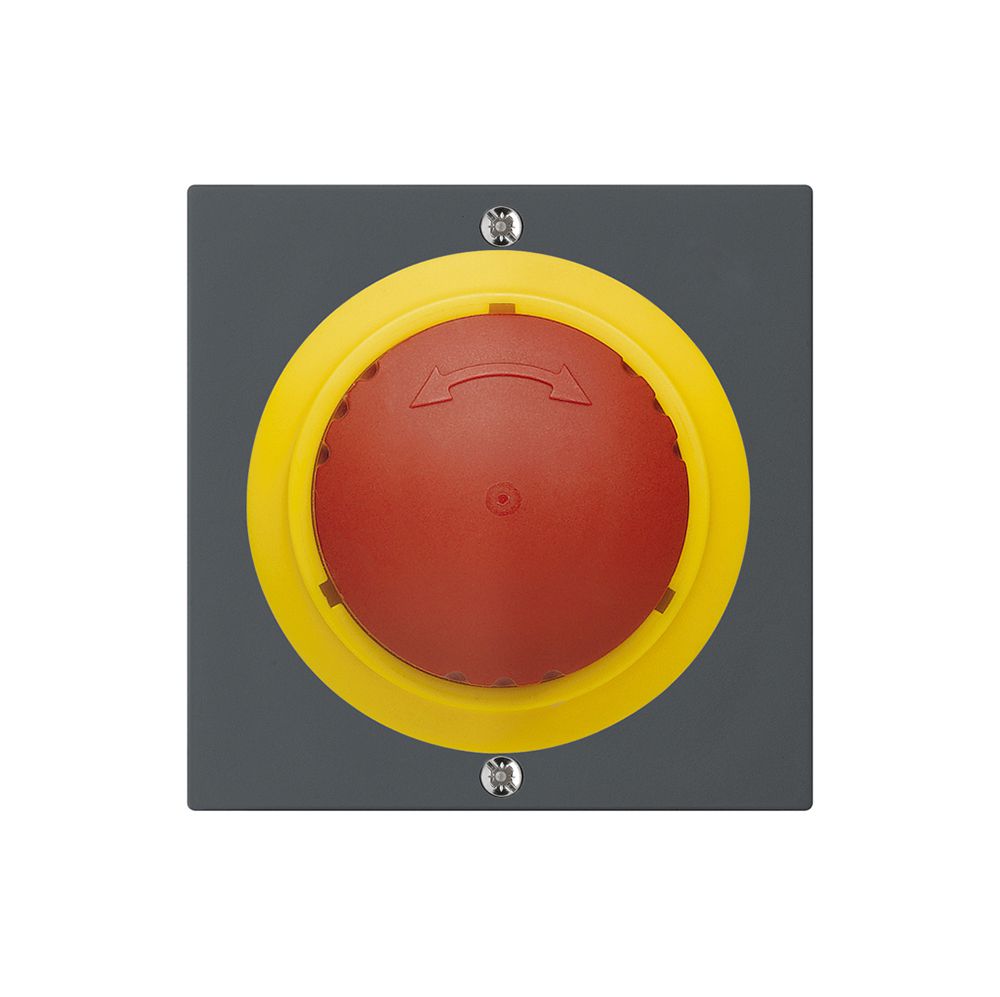 Taster kallysto NOT-AUS anthrazit