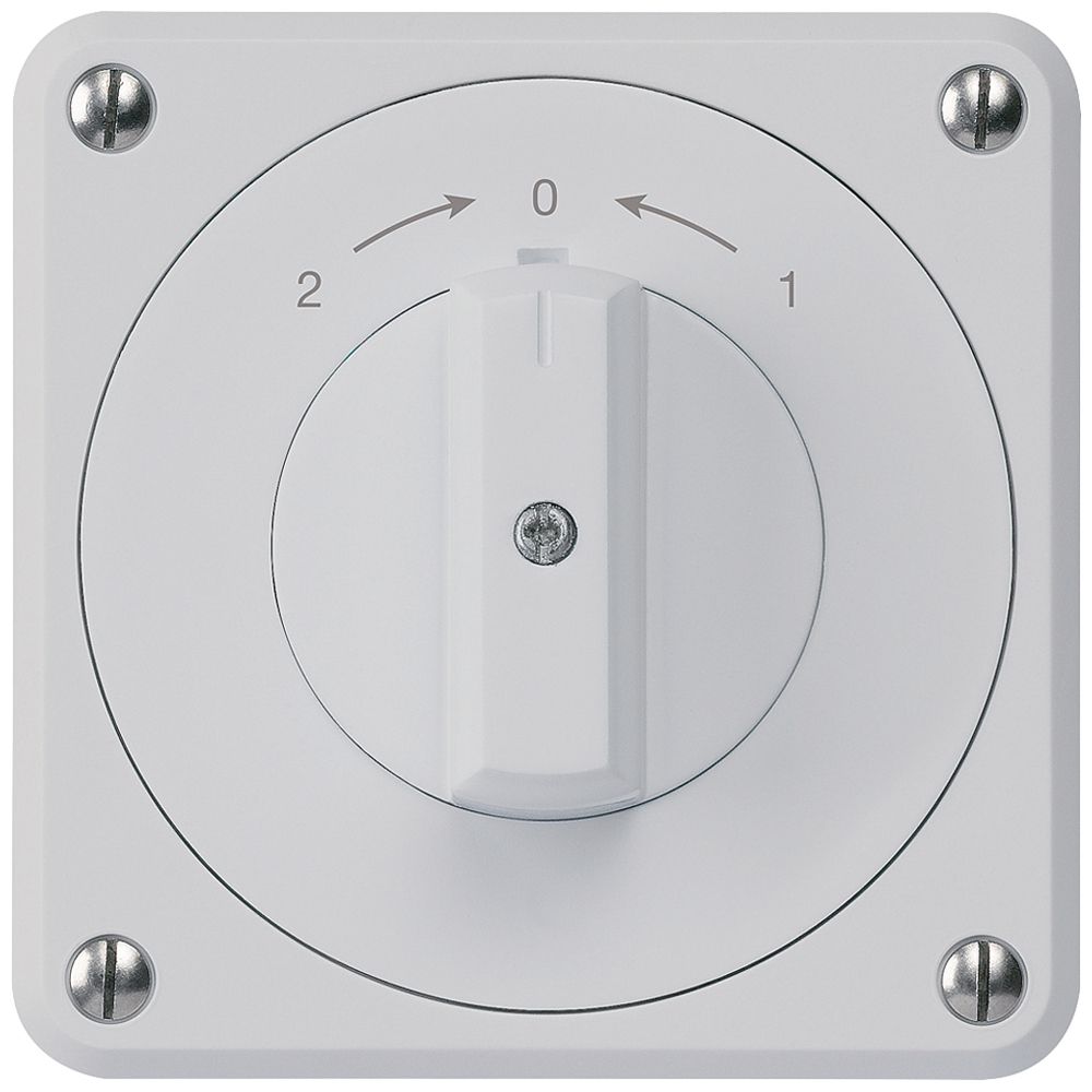 UP-Schwenktaster robusto IP55 grau Wechsler