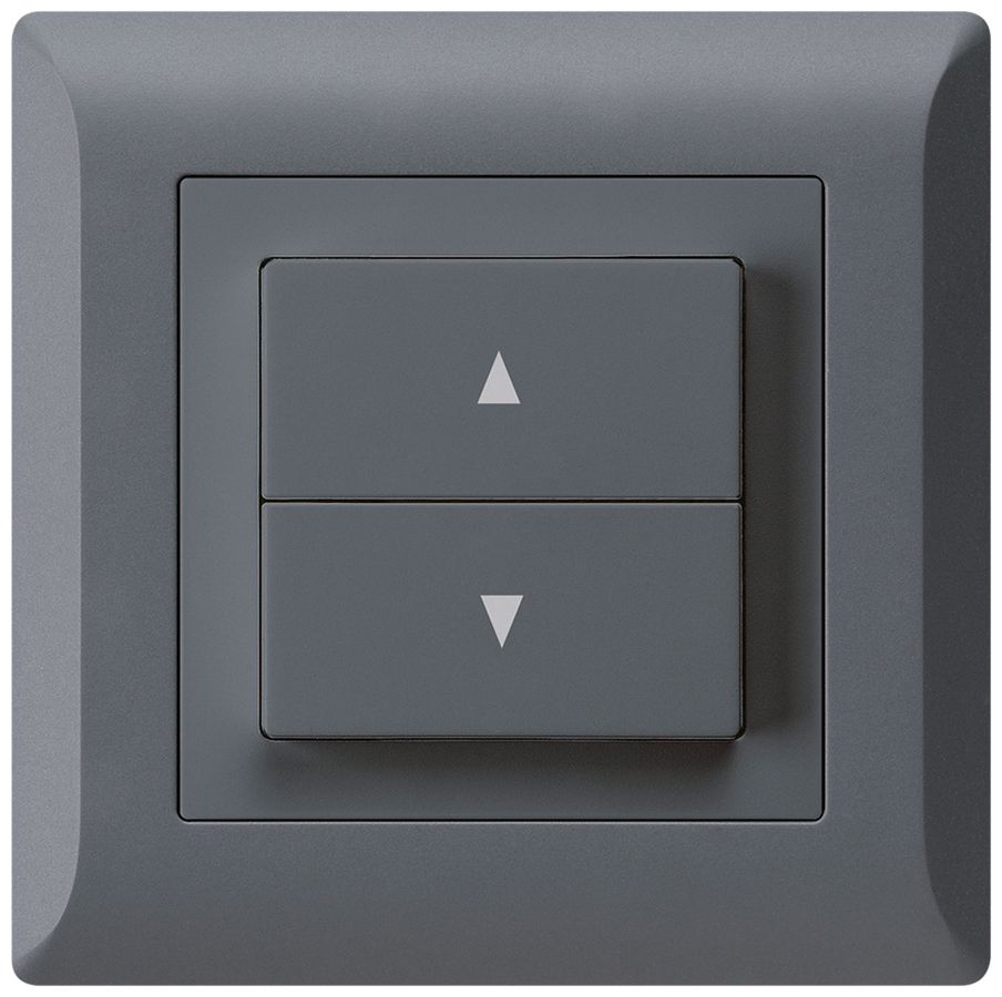 UP-Storentaster kallysto.line anthrazit mit 2 Funktionstasten Steckklemmen