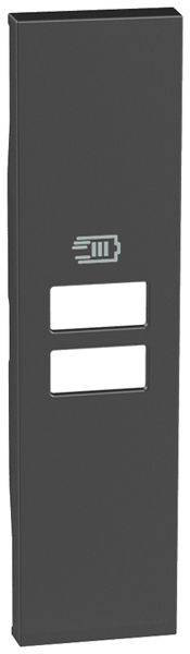 Abdeckung Legrand Living Now 2×USB 22×86×7mm schwarz IP20