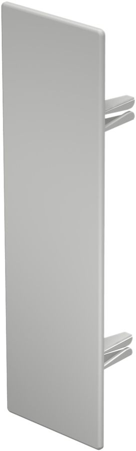 Plaque de fermeture Bettermann pour canal d'installation WDK gris clair 60×210mm
