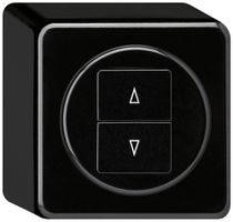 Interrupteur pour stores AP basico noir avec 2 touches bornes enf.