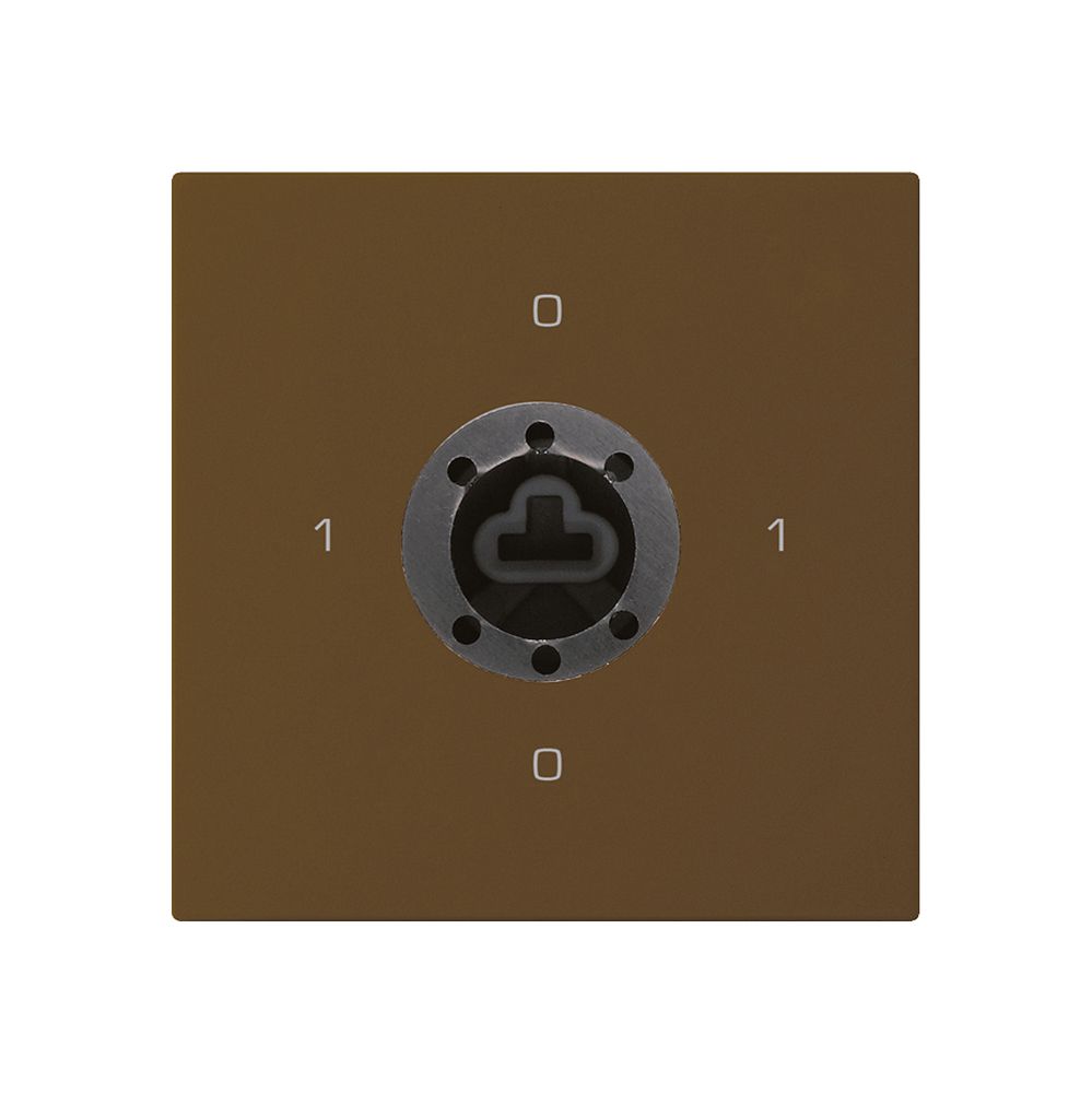 Intérieur interrupteur à clé kallysto 0/2L brun p.serrure de sûreté s.cylindre