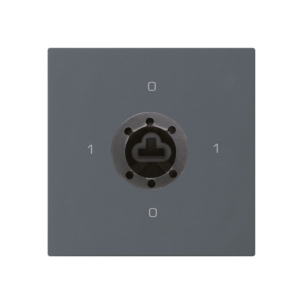 Intérieur interrupteur à clé kallysto 0/2L anthracite serrure sûreté s.cylindre