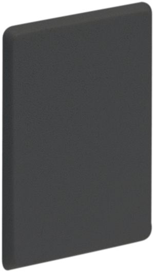 Blindstopfen R&M für MM-Dose schwarz