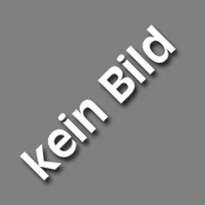 Dachlüftereinsatz mit 2 Ventilatoren 119mm/800mm