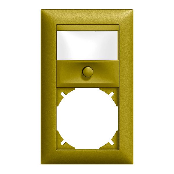 UP-Kombination EDIZIOdue Sonnerie +leer olive