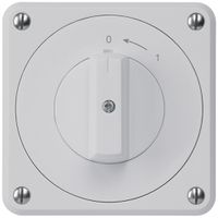 UP-Schwenktaster robusto IP55 grau 1P für Kombination