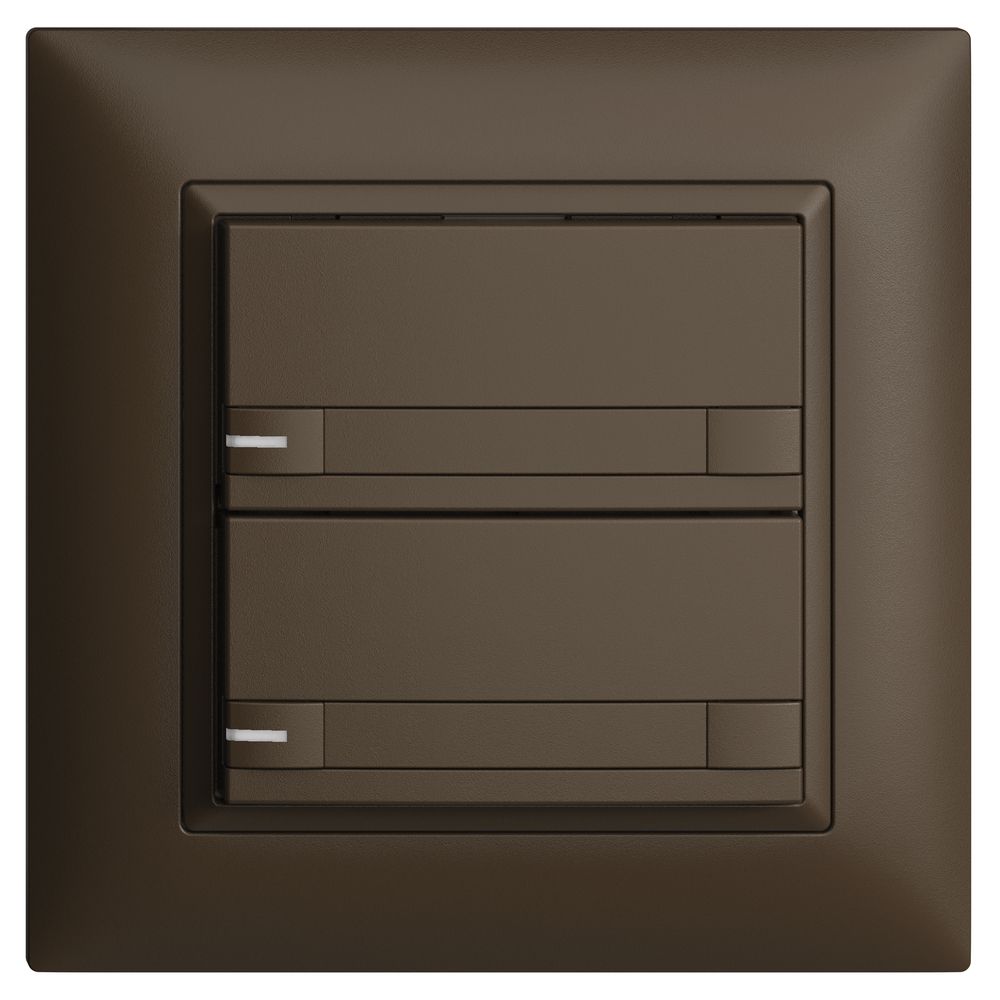 UP-KNX-Taster RGB EDUE FMI, 250mW, m.RGB-LED, m.Papier, 2×Taste, 2×Tastenb., cof