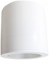 AP-LED-Downlight SG Rax Surface 150 14W 1580lm 830 Ø173×203mm weiss