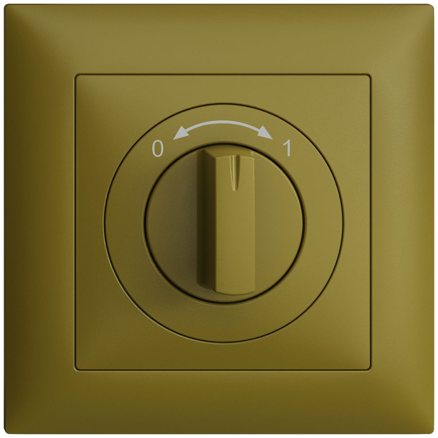 Frontset EDIZIOdue 0<->1 olive 88×88mm für Schwenktaster