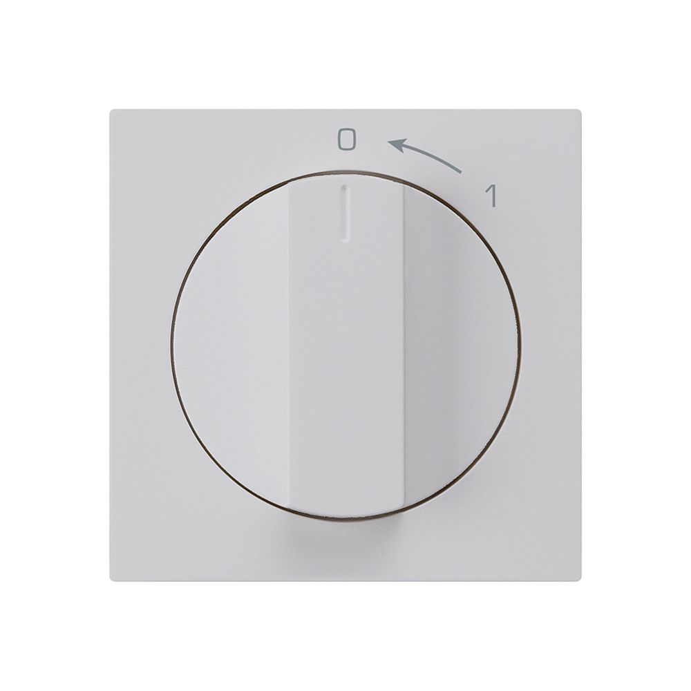 Schwenktaster 0<-1/1L hellgrau kallysto mit Drehgriff