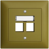 UP-Montageset EDIZIOdue FMI, Geradeauslass, für 2×Keystone, olive