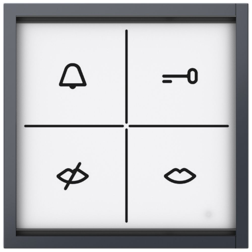 LED-Info-Modul Siedle Access Professional 12V AC/DC anthrazit
