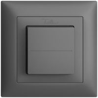 Funktaster EnOcean Feller EDIZIOdue FMI, 2K/1T, batterielos, dunkelgrau