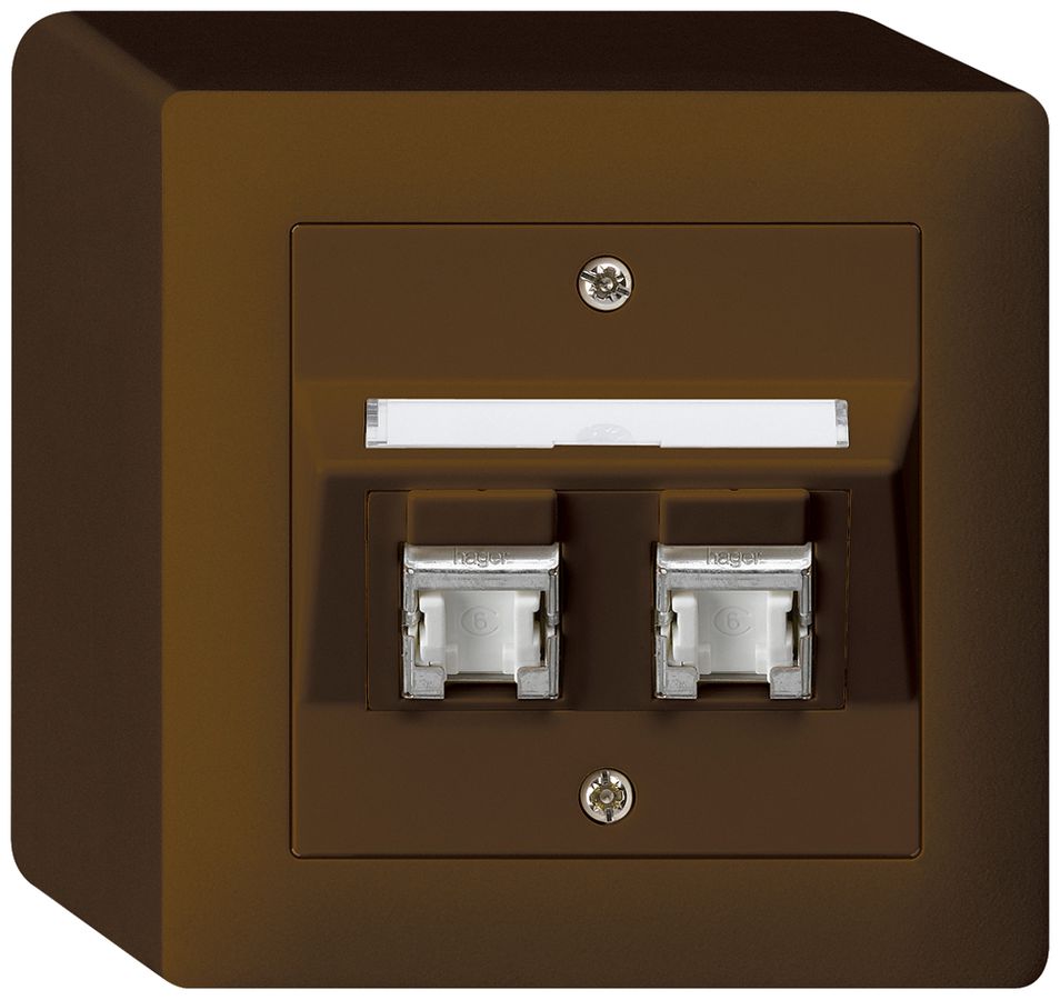 AP-Dose kallysto Kat.6 2RJ45/s braun