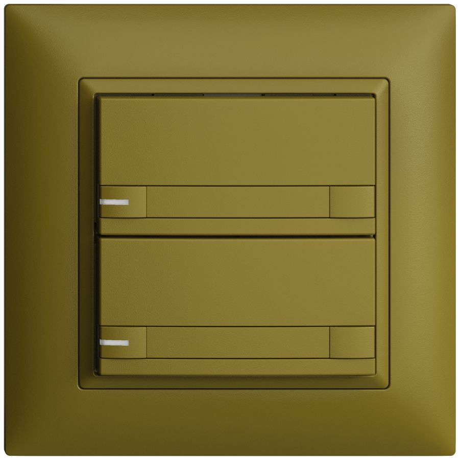 Poussoir ENC KNX 2× EDIZIOdue colore olive RGB avec LED avec insert papier