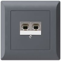 UP-Dose kallysto.line 2×RJ45s getrennt UKV anthrazit